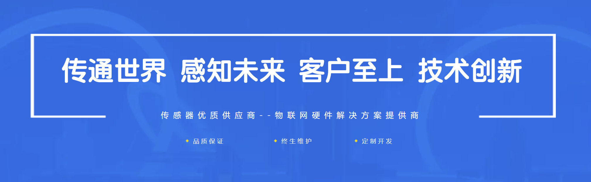 传感专家