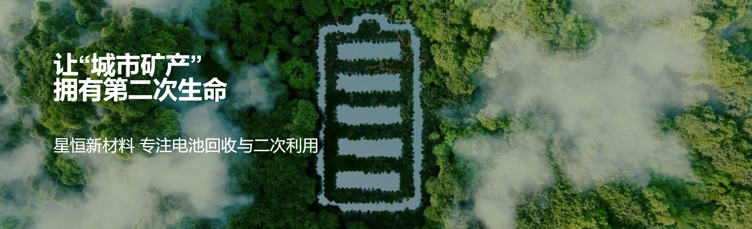 传感专家