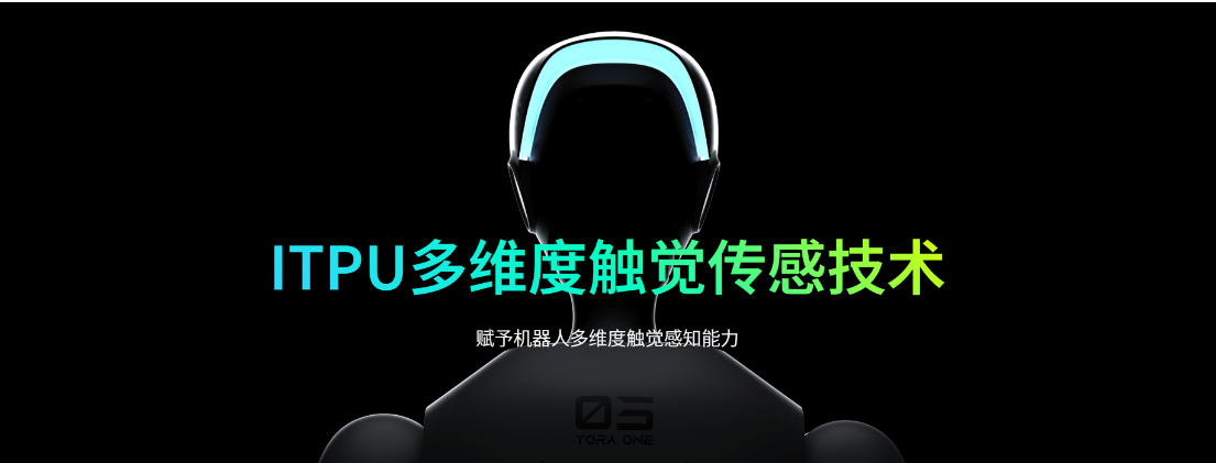 传感专家