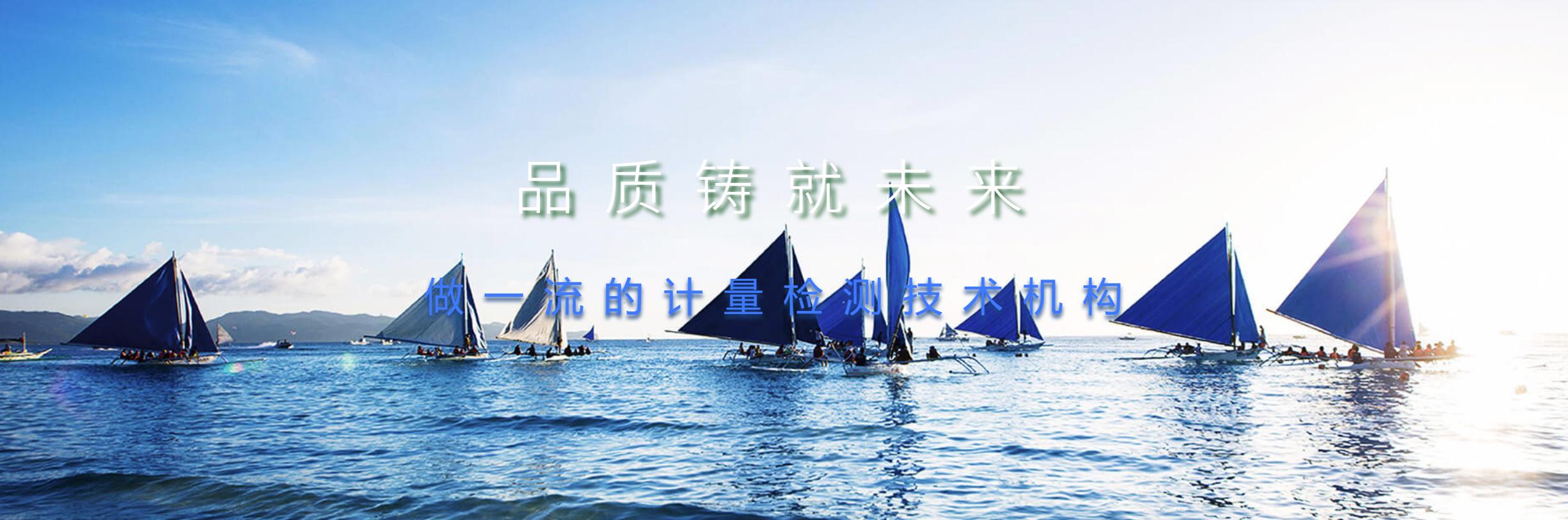 传感专家