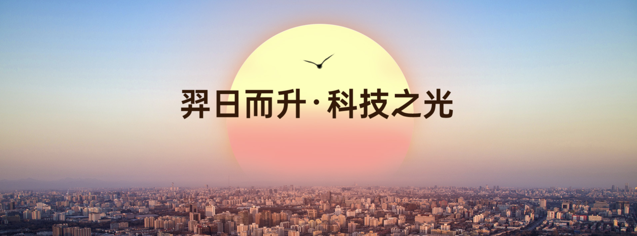 传感专家