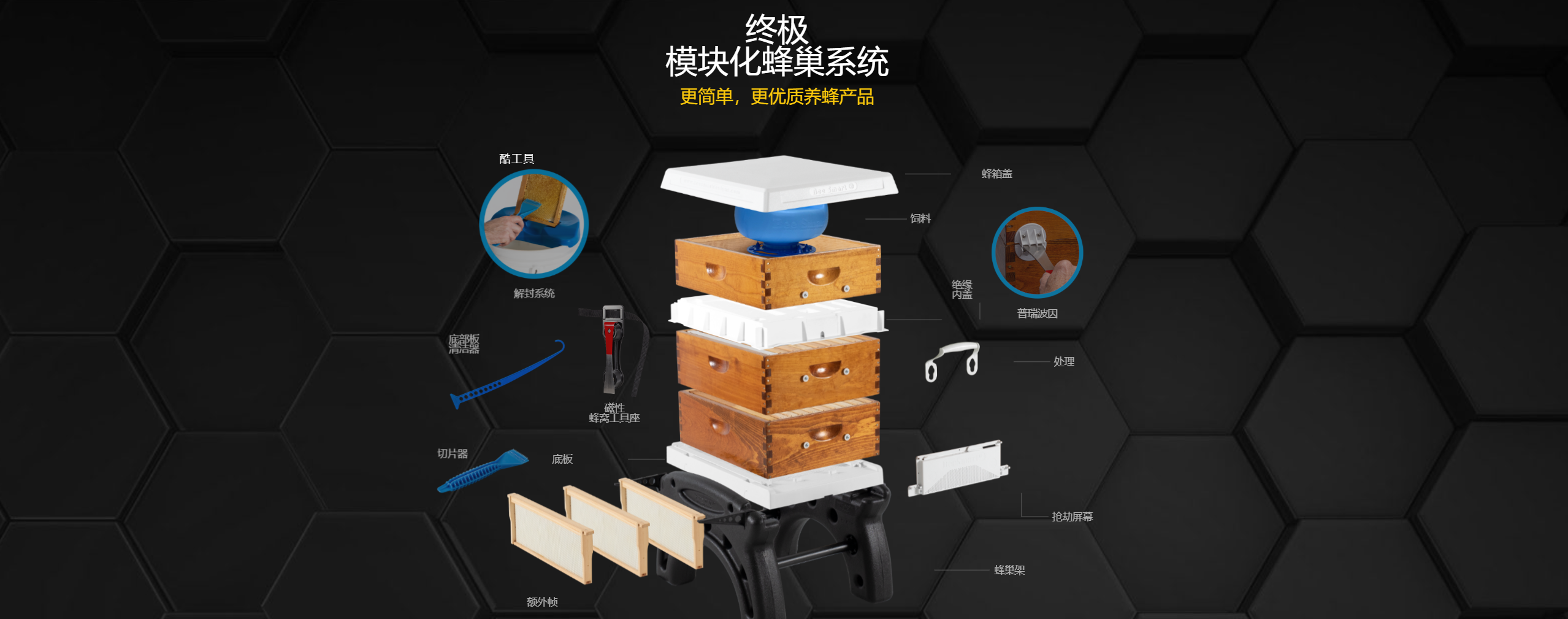 传感专家