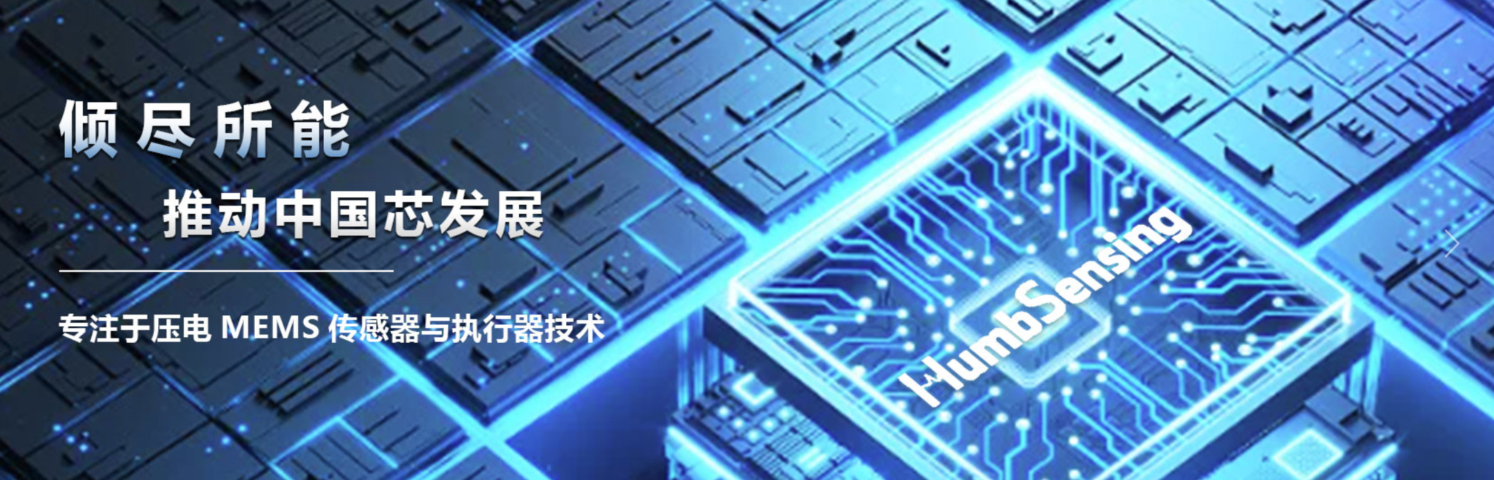 传感专家