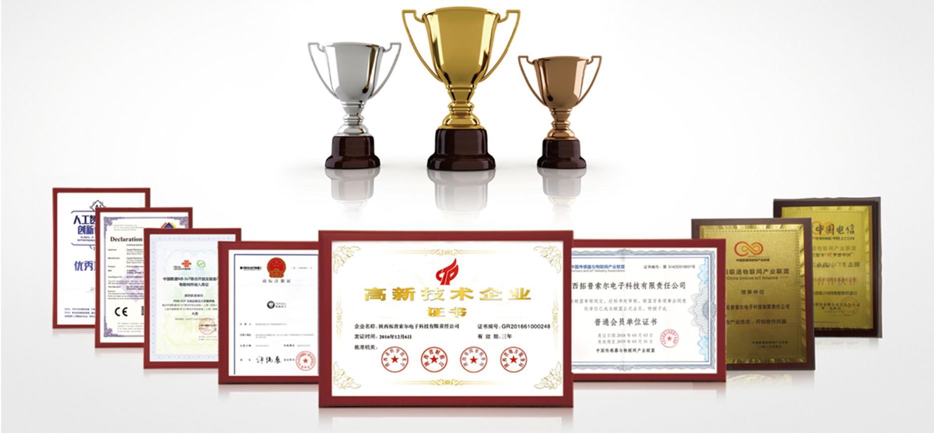 传感专家