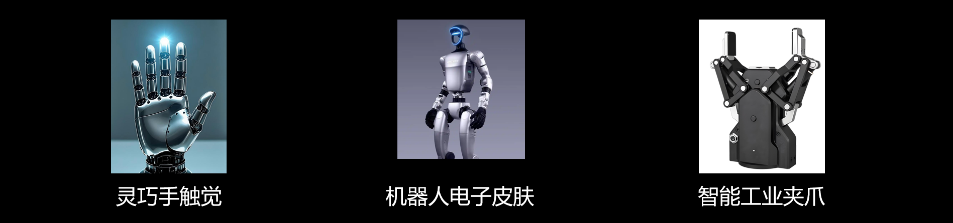 传感专家