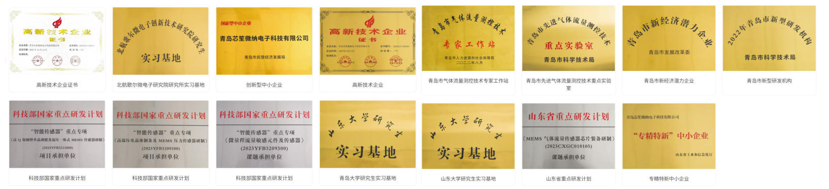 传感专家