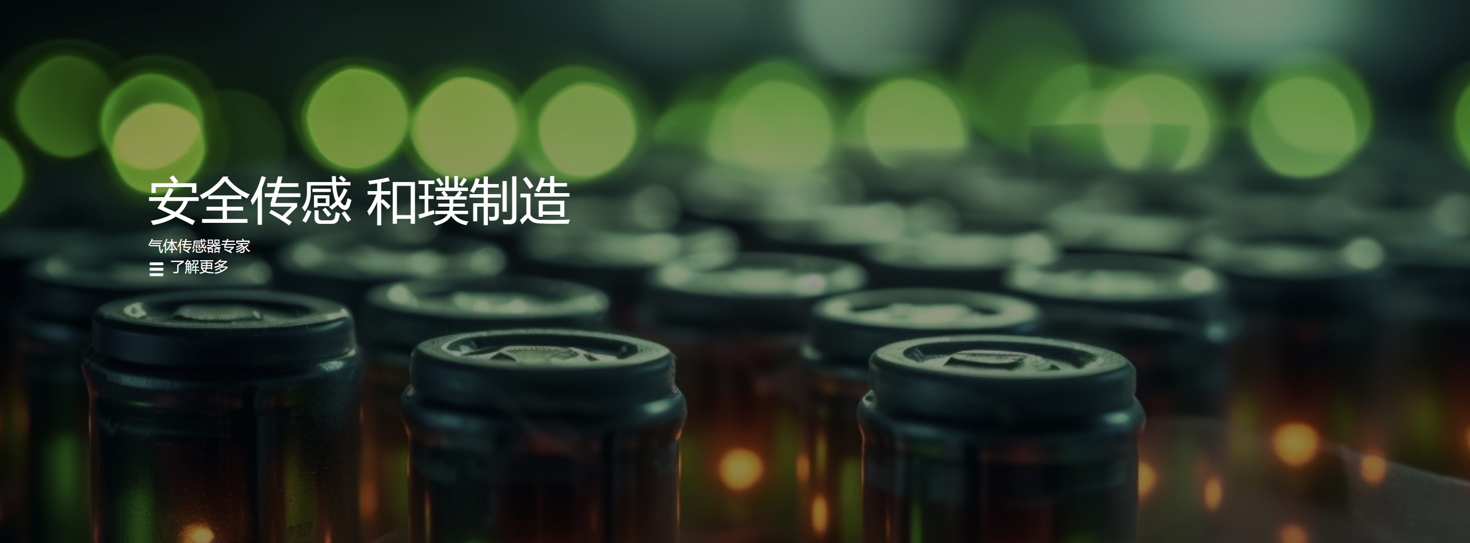 传感专家