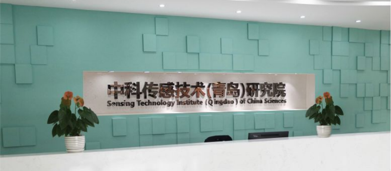 传感专家