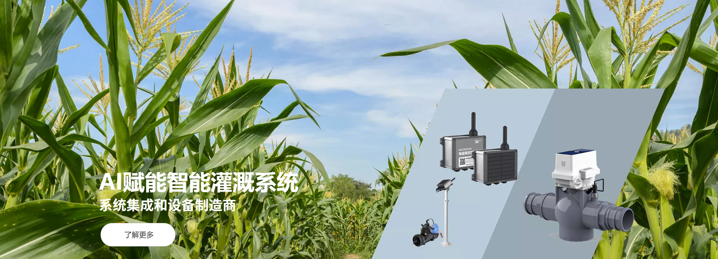传感专家