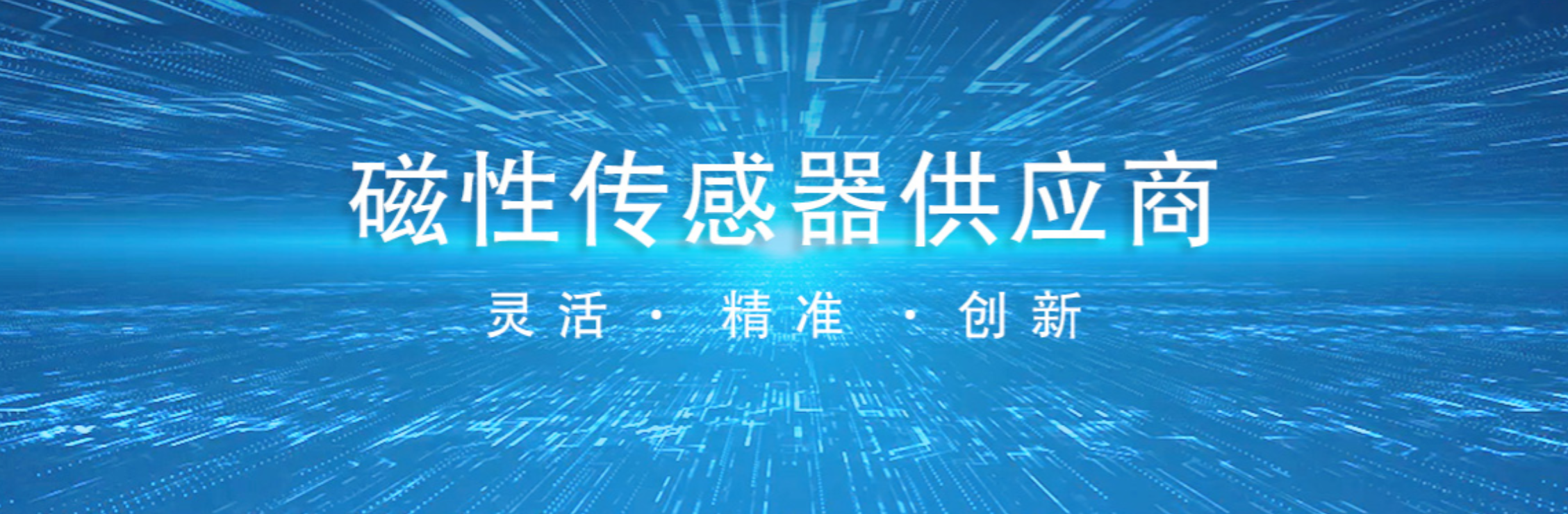 传感专家