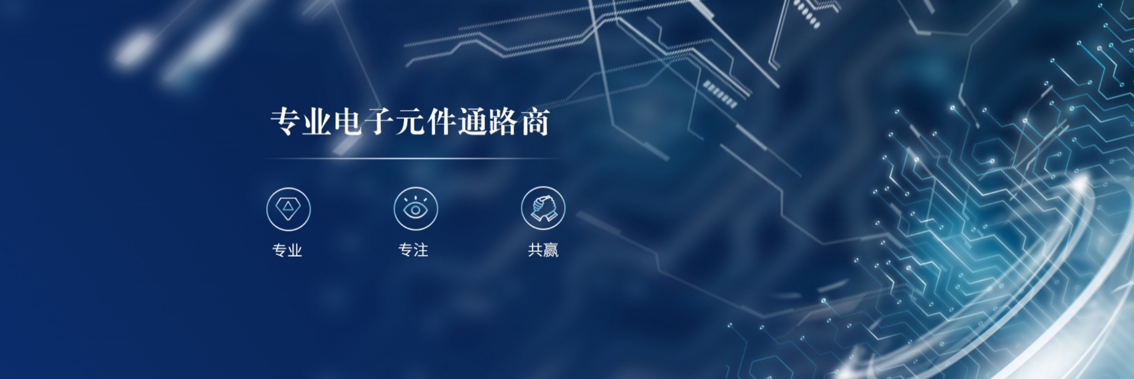 传感专家
