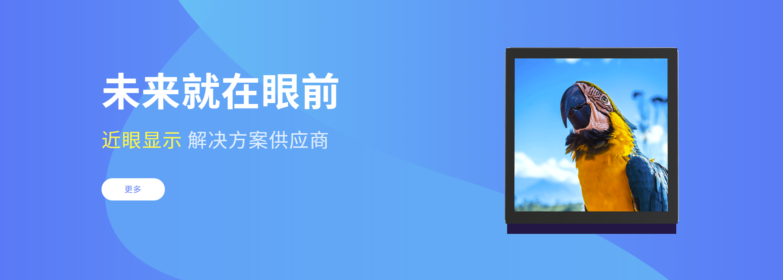 传感专家