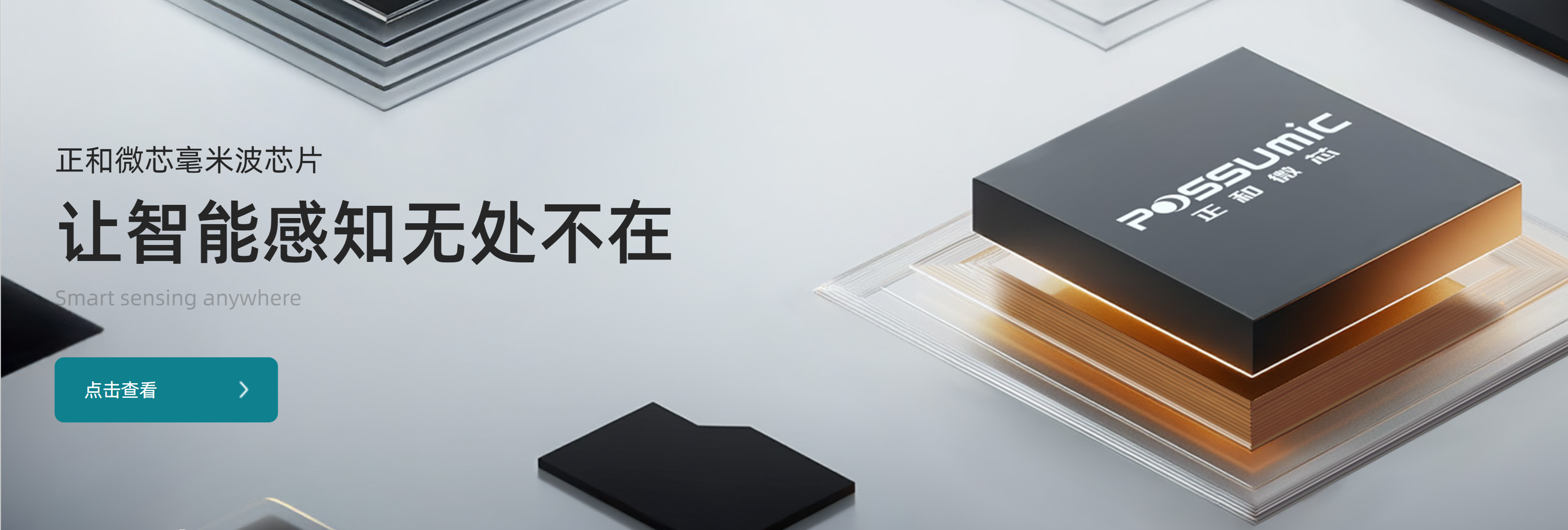 传感专家