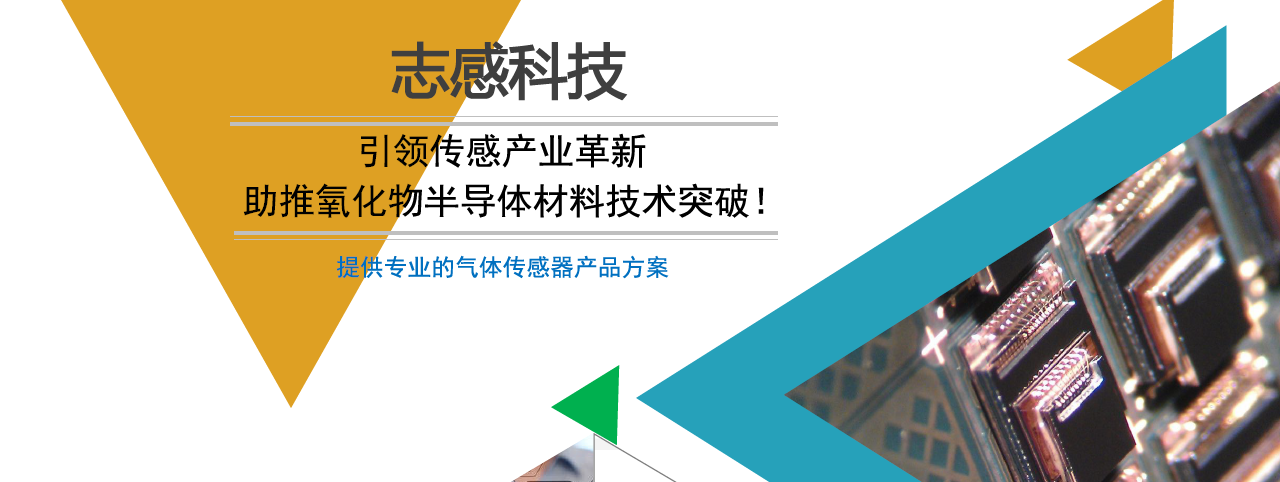 传感专家